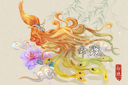 八字本命盘,新浪紫薇命盘,紫微四柱排盘