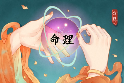 元亨八字排命盘|查询十二宫位|询命盘