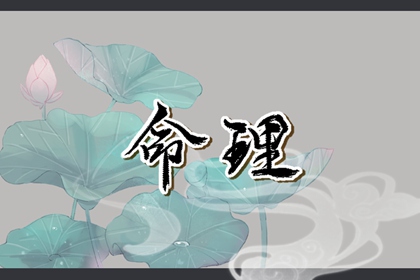 匹配生辰八字_八字看财富程度_测名生辰八字_电脑算八字