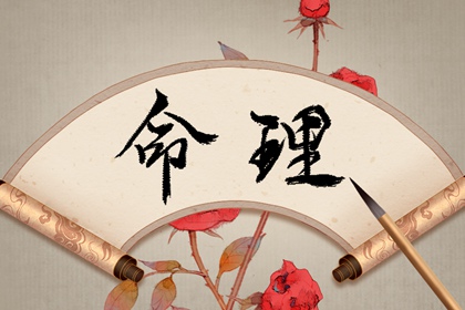 匹配生辰八字_八字看财富程度_测名生辰八字_电脑算八字