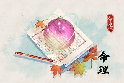 八字本命盘,新浪紫薇命盘,紫微四柱排盘
