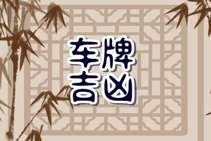 车牌吉凶看什么