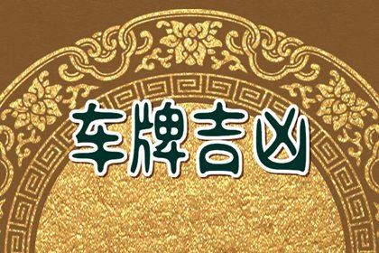 数字化号码参考用法