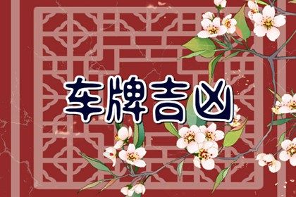 车牌数字解读