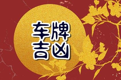 数理分如何理解