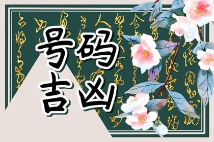 81 数理简介