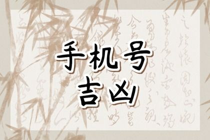 81 数理简介