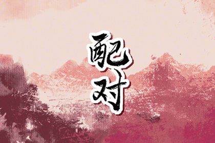 纳音配对:比和、相生与平衡
