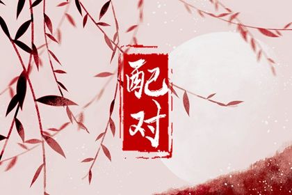 测八字起名字,生晨辰八字起名,生辰八字起名