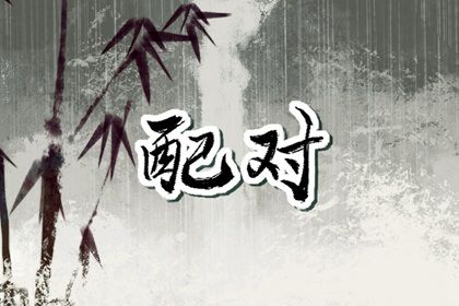 配对大全_测八字配对姻缘_命十二生肖配对_年份配对查询
