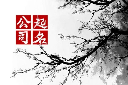 示例命局怎么用