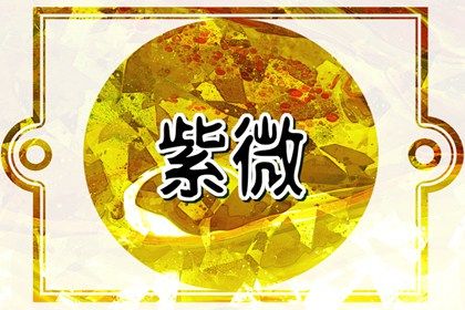 数字化紫微参考用法