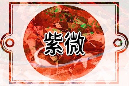 在线排盘看什么