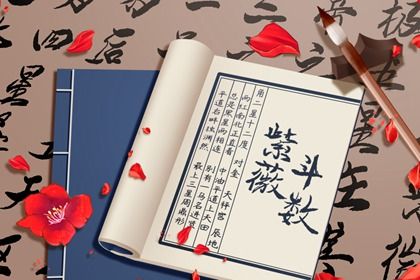 数字化紫微参考用法