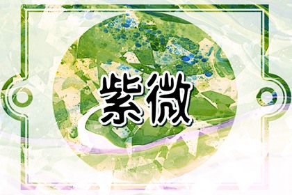 在线排盘看什么