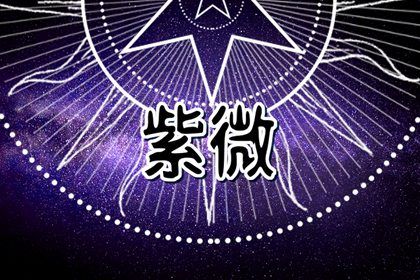 十二宫结构