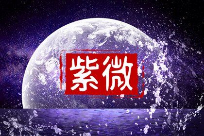 在线排盘看什么
