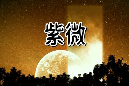 排盘基础概念