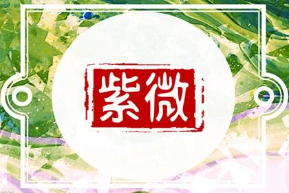 紫微斗数是什么