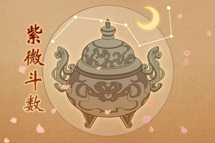 在线紫微查询怎么看